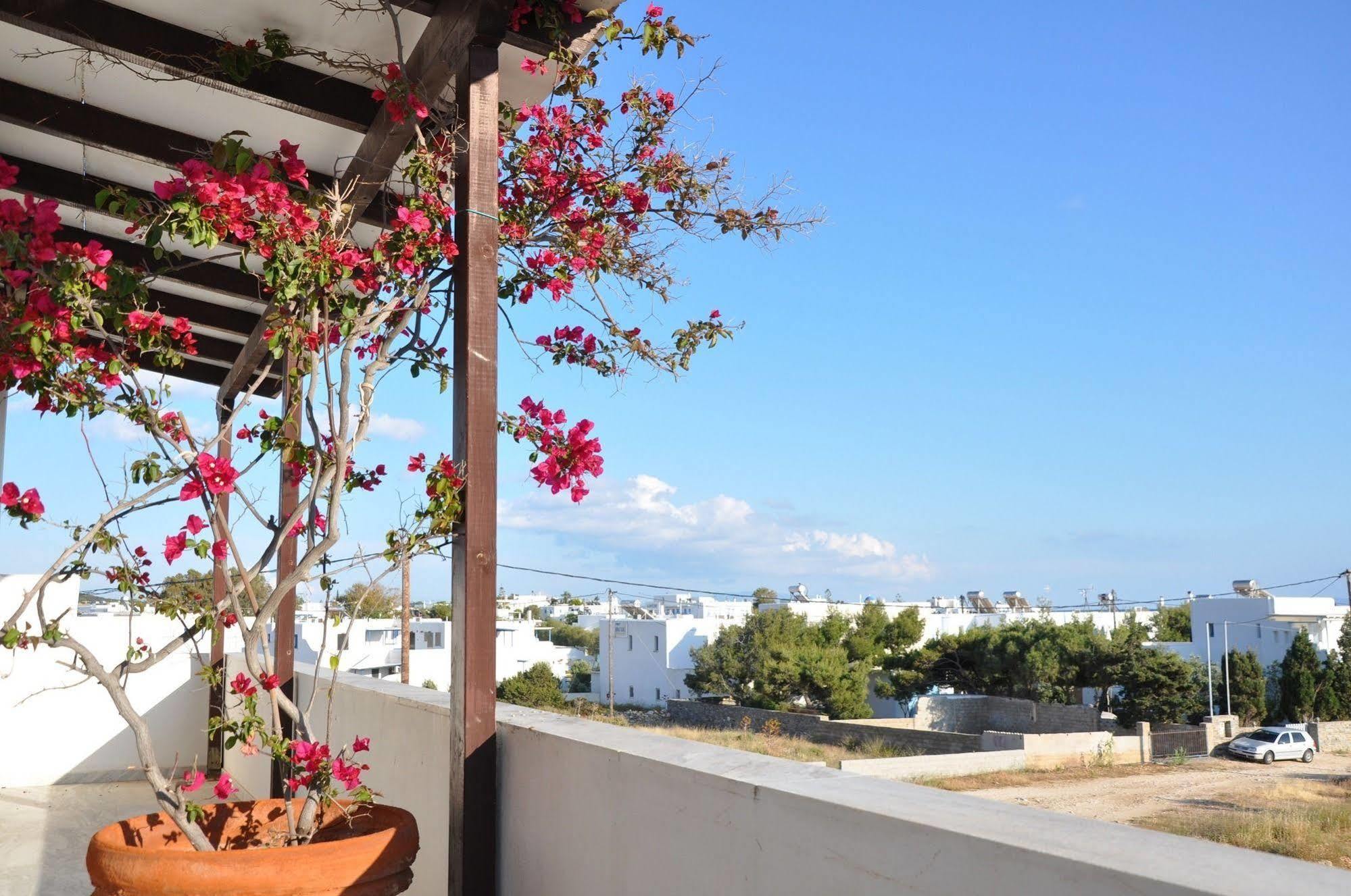 Michalis Apartments Near The Beaches With Sea View Párosz Kültér fotó